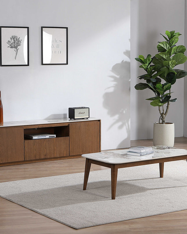 Atlanta TV Unit