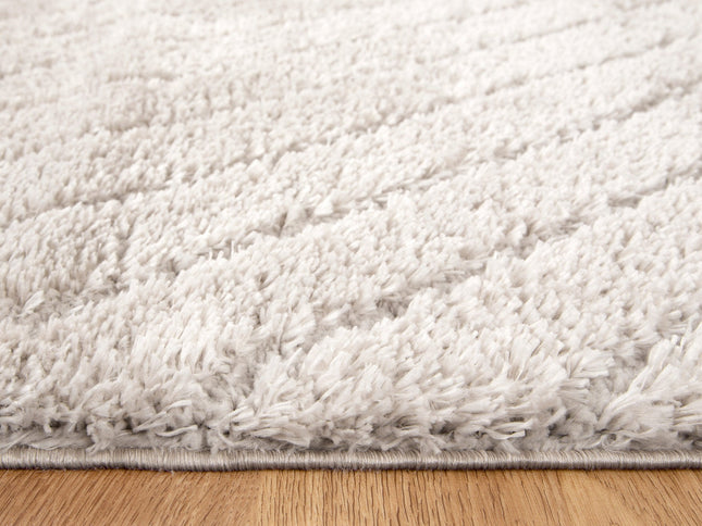 Tender Modern Beige Shag Rug