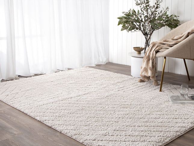 Tender Modern Beige Shag Rug
